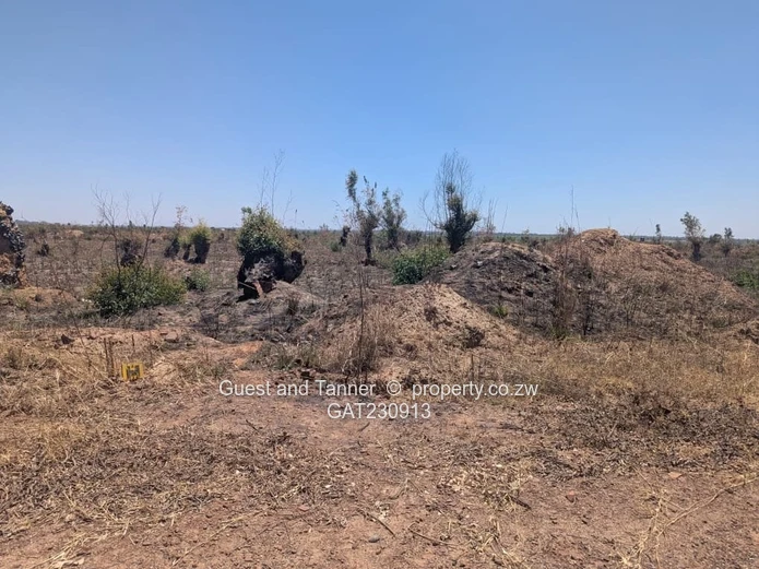  5 Vacant Stands for Sale – Prime Investment Opportunity Near Harare