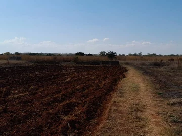 Land