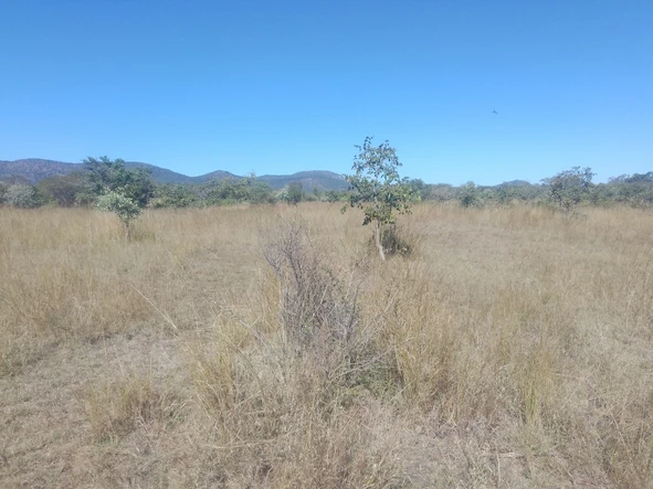 Land