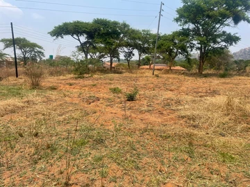 Stands & Residential Land