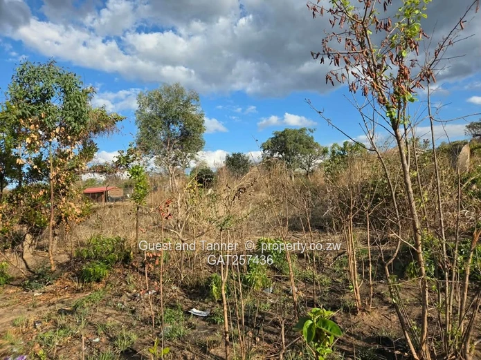 Crow Hill Residential Stands For Sale