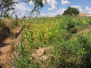 Stands & Residential Land