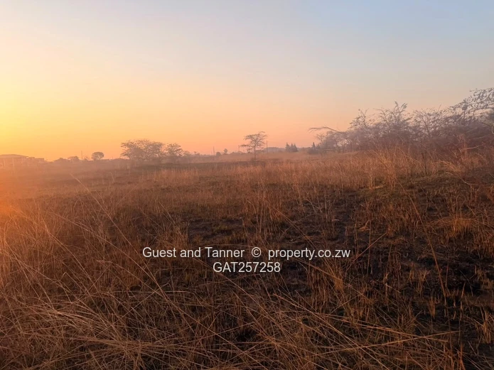 7,467Sqm Stand With Two Boreholes | Norton, Galloway