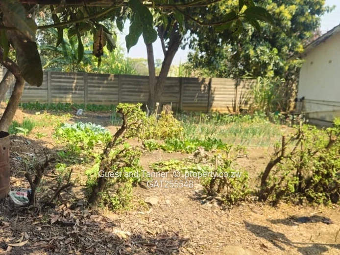 Vainona, Harare – Spacious Family Home with Separate Cottage