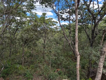 Prime 6.4 Hectares of Land in Serene Christon Bank