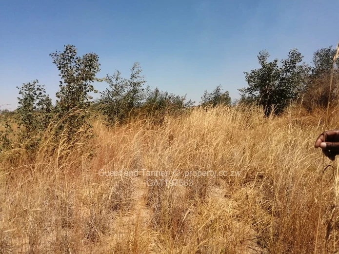 Residential Stands For Sale In Nyabira