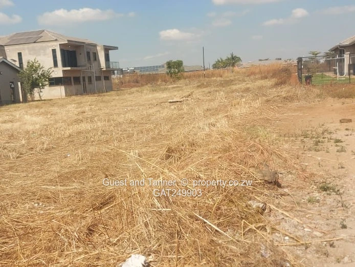 Fairview Residential Stand for Sale