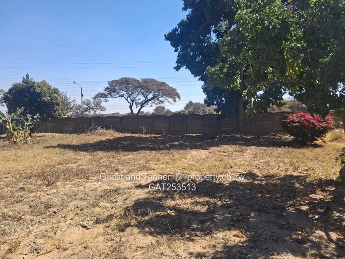 Golden Oldie Spacious Family Home for Sale - Hatfield 
