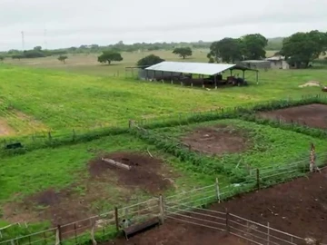 Farm & Agricultural Land