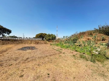 Commercial Property