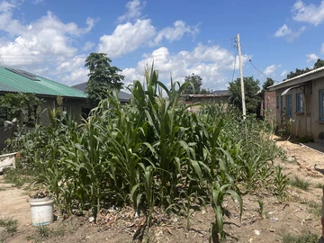 Stands & Residential Land