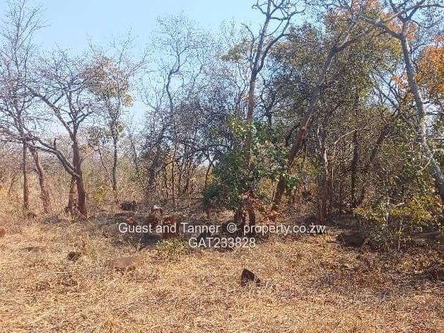 Prime Agro-Residential Plots for Sale – Norton (Limited Availability, High Demand)