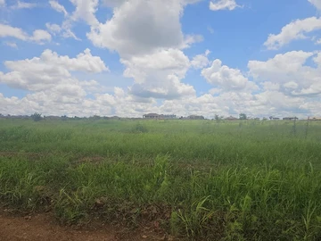 Land