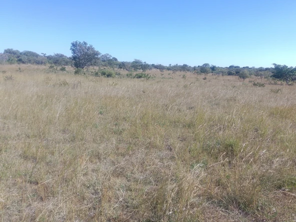 Land