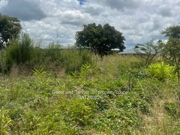Stands in Charlotte Brooke for Sale