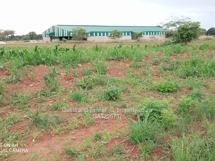Commercial Land For Sale In Chegutu