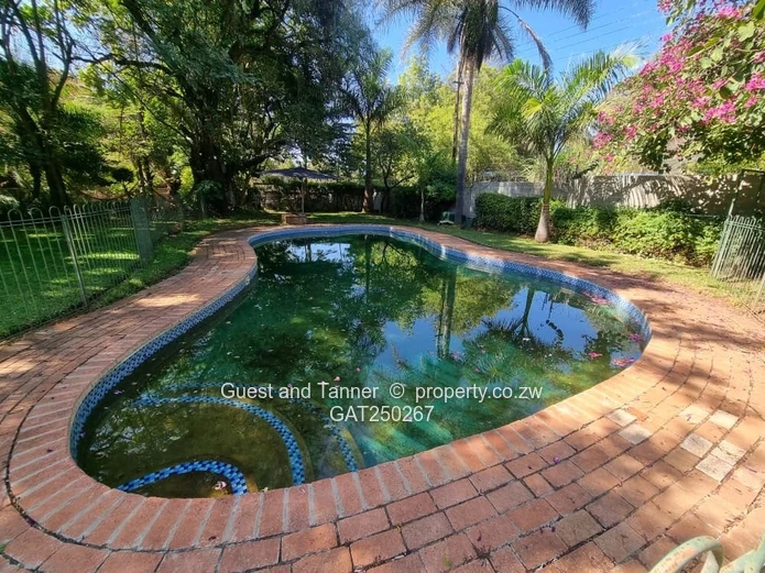 Luxury 4-Bedroom Family Estate on 1 Acre with Tennis Court & Pool | Hillside, Bulawayo