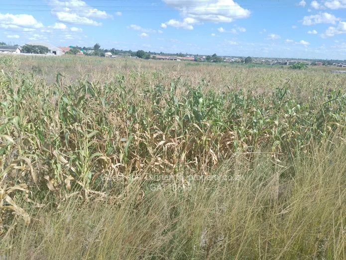 Prime 6405m² Suburban Commercial Land in Sunway City, Harare East