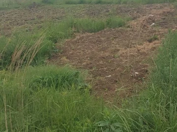 Commercial & Industrial Land