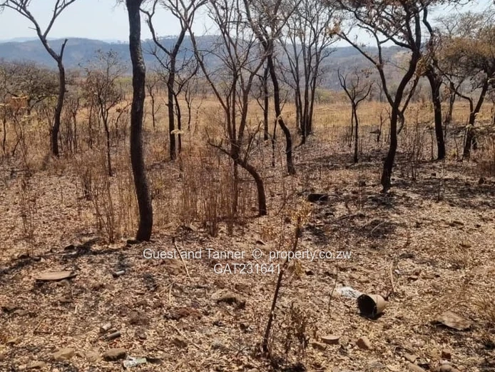 Prime Land For Sale In Glen Forest