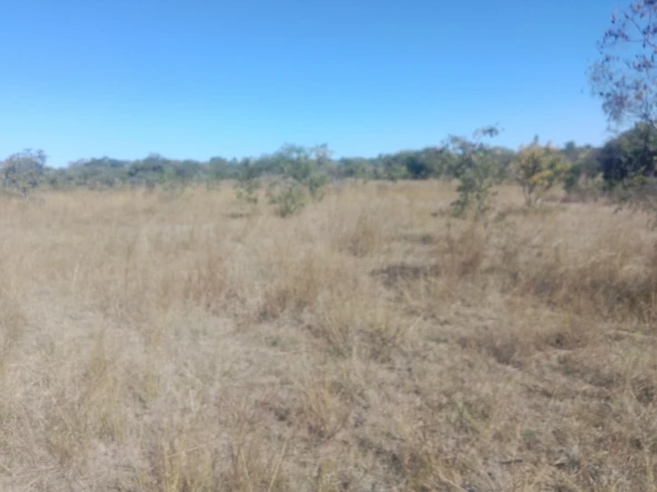 Land