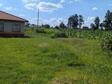 Stands & Residential Land