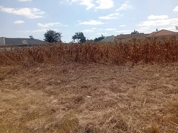 Stands & Residential Land