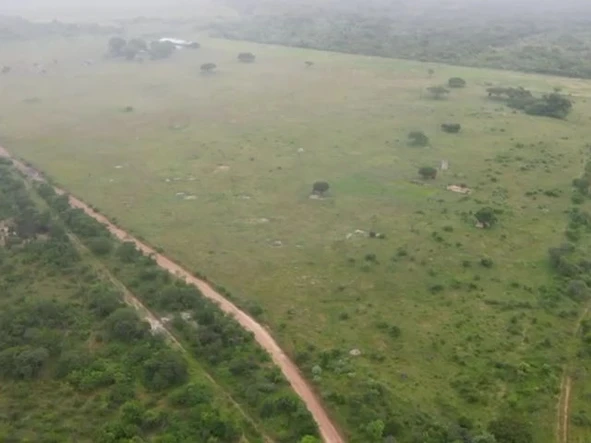 Farm & Agricultural Land
