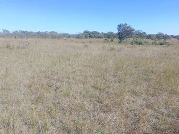 Land