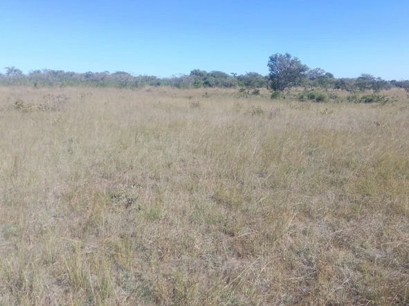 Land