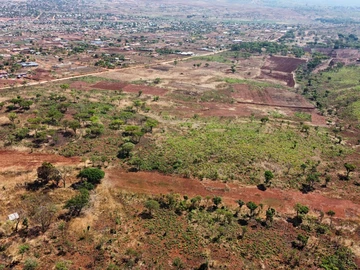 Farm & Agricultural Land