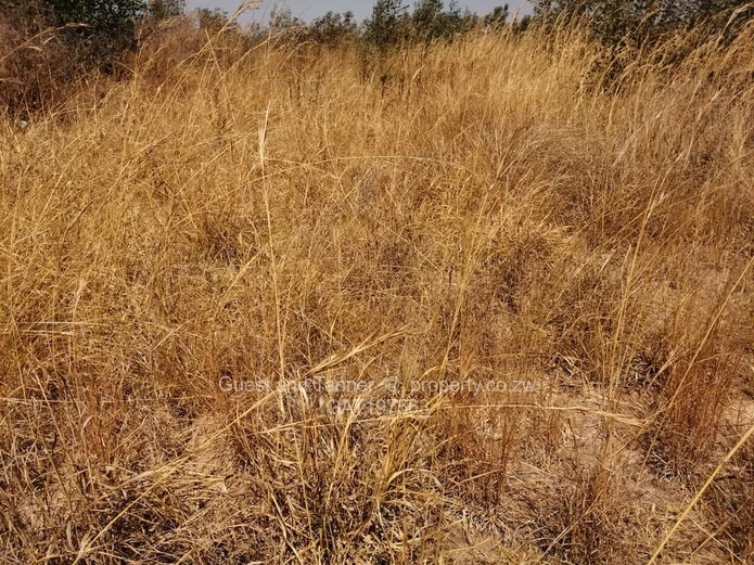 Residential Stands For Sale In Nyabira