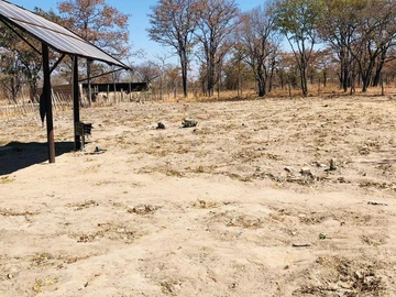 Farm & Agricultural Land