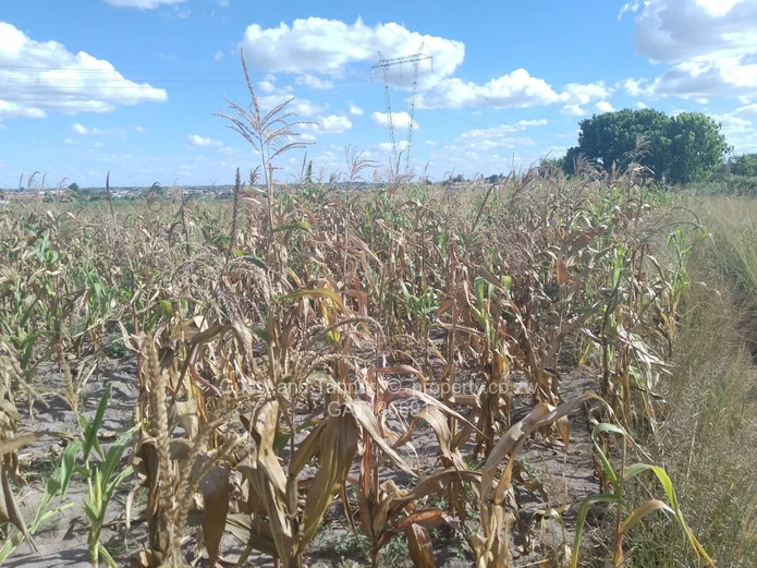 Prime 6405m² Suburban Commercial Land in Sunway City, Harare East