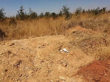 Land