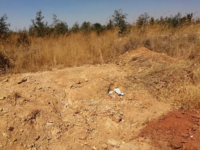 Residential Stands For Sale In Nyabira