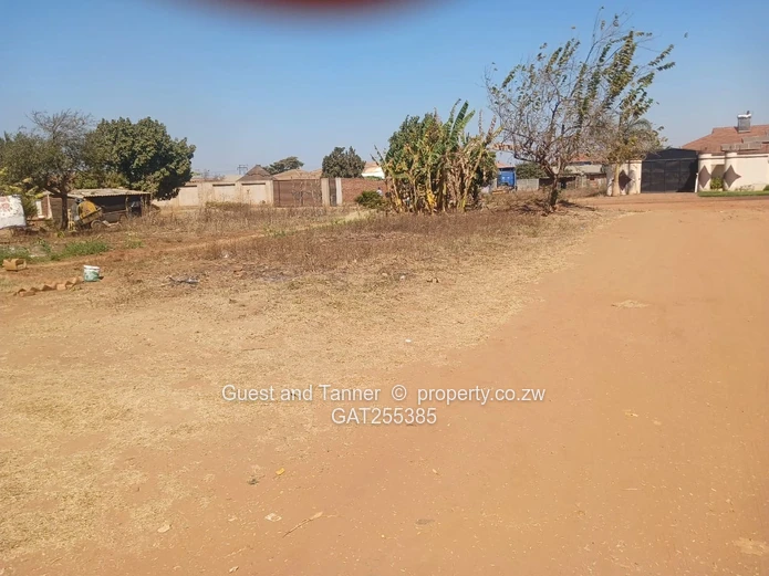 Belvedere West - Corner Property with Rental Income
