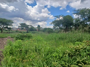 Commercial & Industrial Land