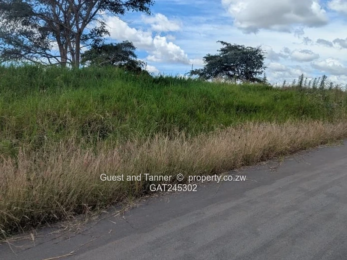 A Choice Of 7 Residential Stands For Sale In Buckland Terraces
