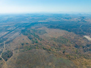 Farm & Agricultural Land
