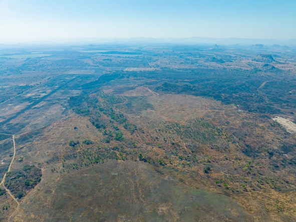 Farm & Agricultural Land
