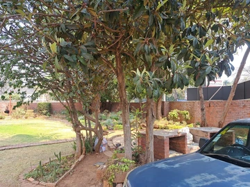 Commercial Property