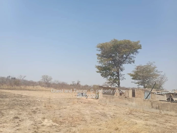 Invest in Chegutu's 4-hectare plot 
