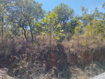 Land