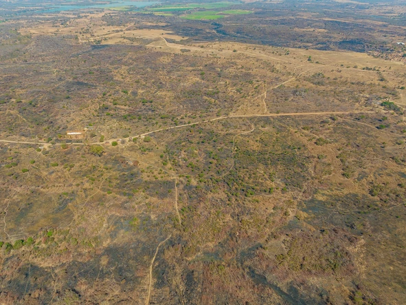 Farm & Agricultural Land