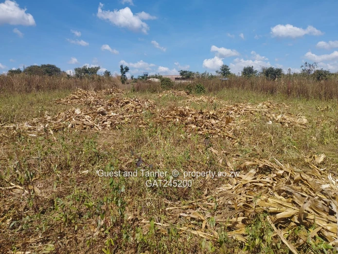 Residential Land For Sale In Buckland Terraces Estate Pomona