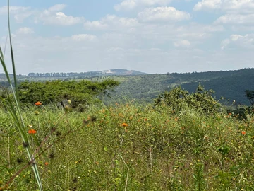 2 Hectare Agricultural Farm for Sale in Christon Bank, Mashonaland Central