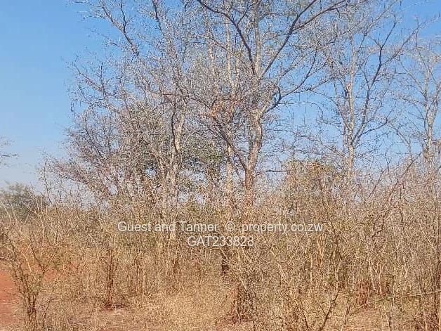 Prime Agro-Residential Plots for Sale – Norton (Limited Availability, High Demand)