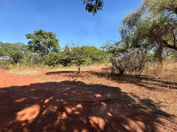 Farm & Agricultural Land