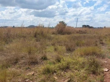 Land